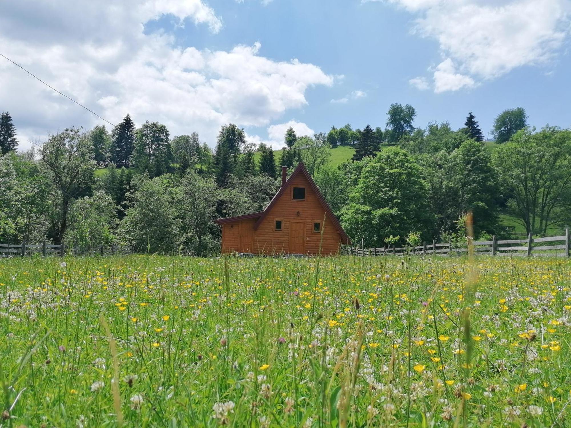 Brvnara Jahorinka Villa Jahorina Exterior foto